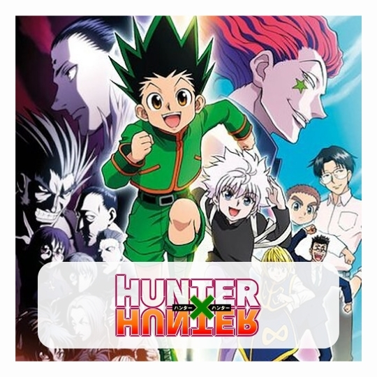 Hunter x Hunter merch - Shirt Anime™